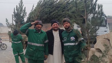 Planting trees in Mazar-e-Sharif