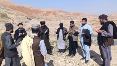 Approximately 60 Jeribs of land were allocated to the SCCBO organization